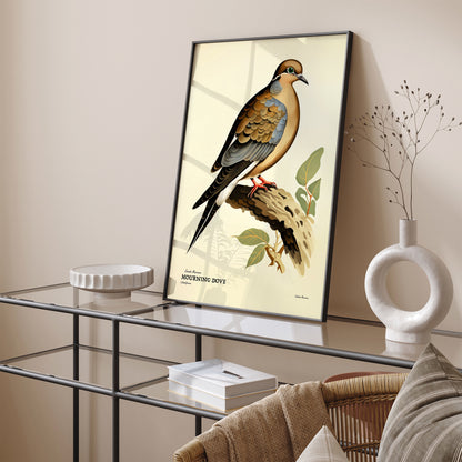 Vintage Mourning Dove Bird Poster