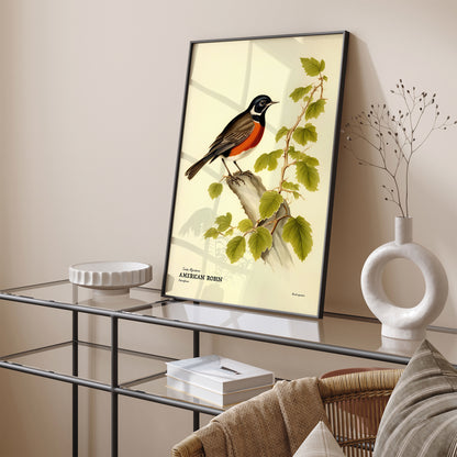 American Robin Vintage Wall Poster