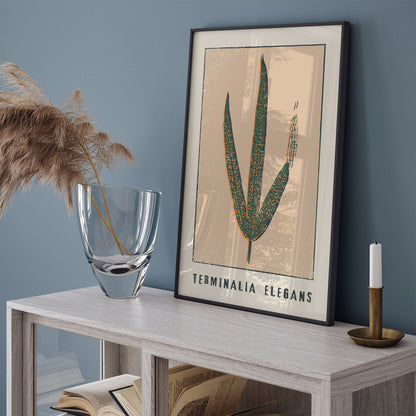 Terminalia Elegans Retro Floral Poster