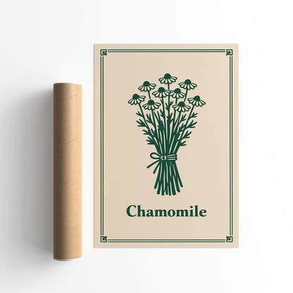 Chamomile Minimalist Kitchen Art Poster