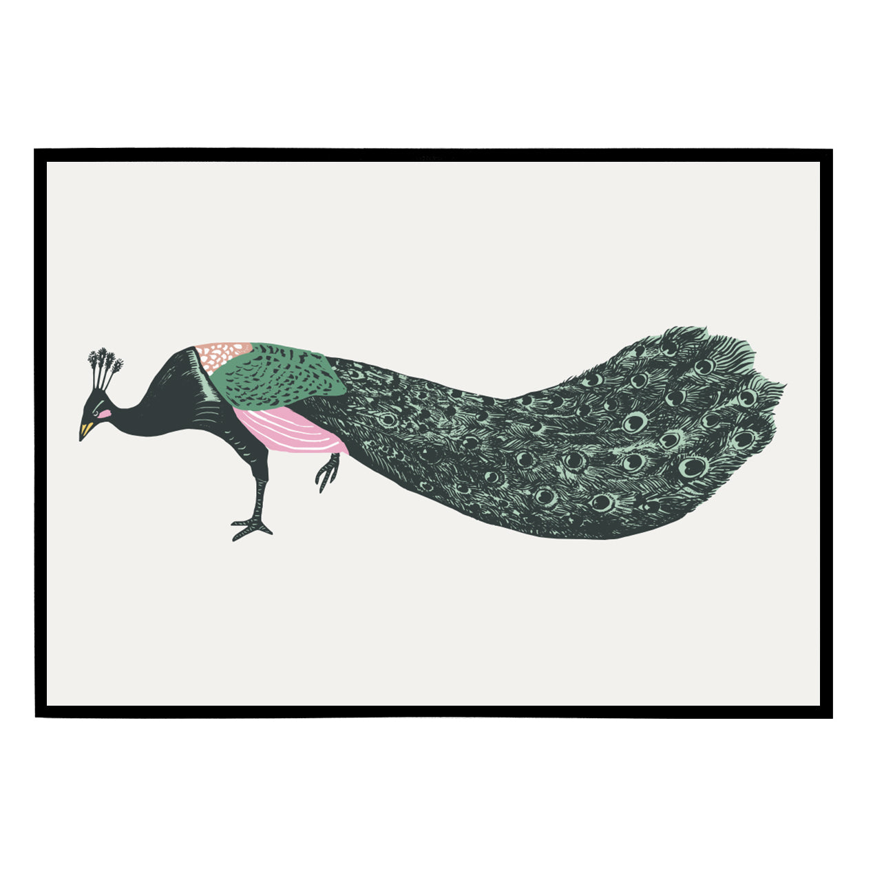 Vintage Peacock Illustration Poster
