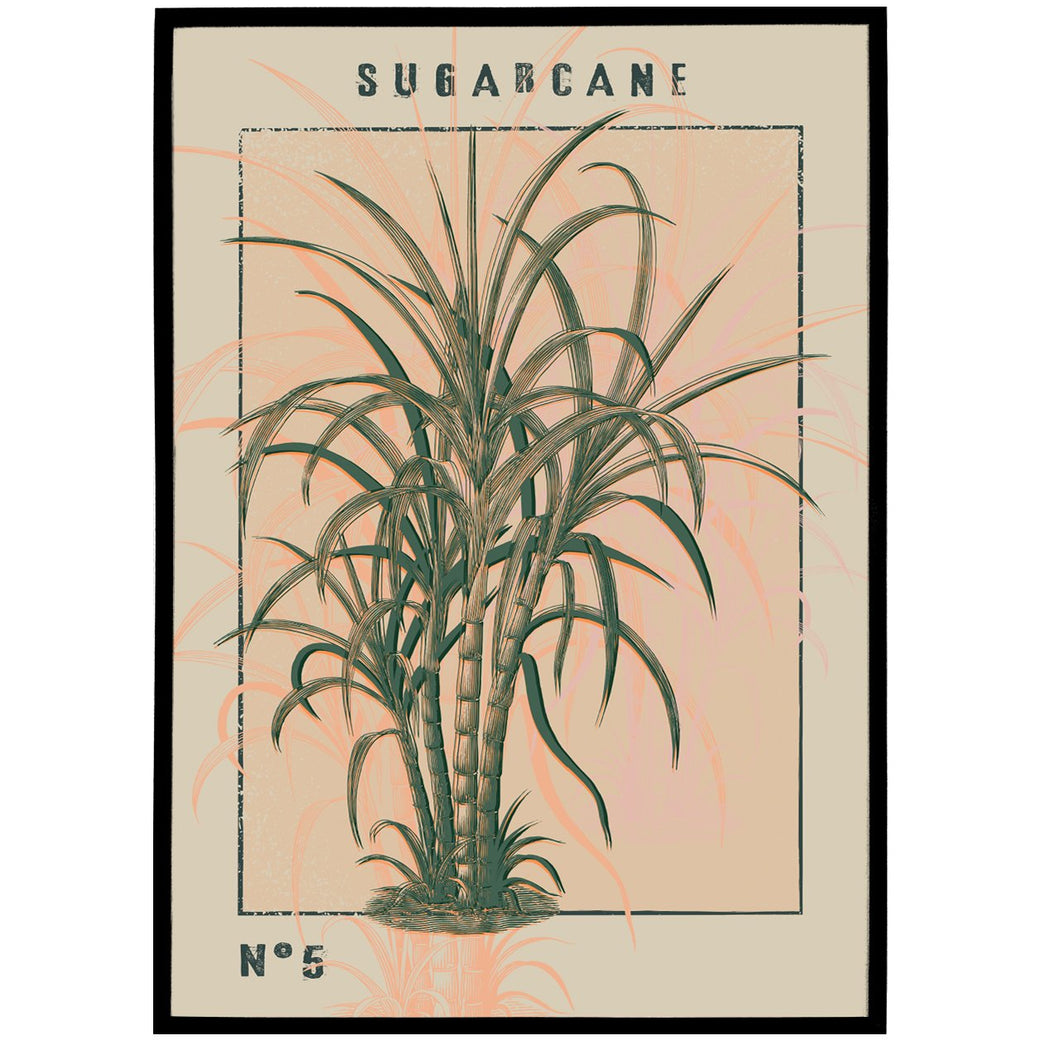 Sugarcane Vintage Poster