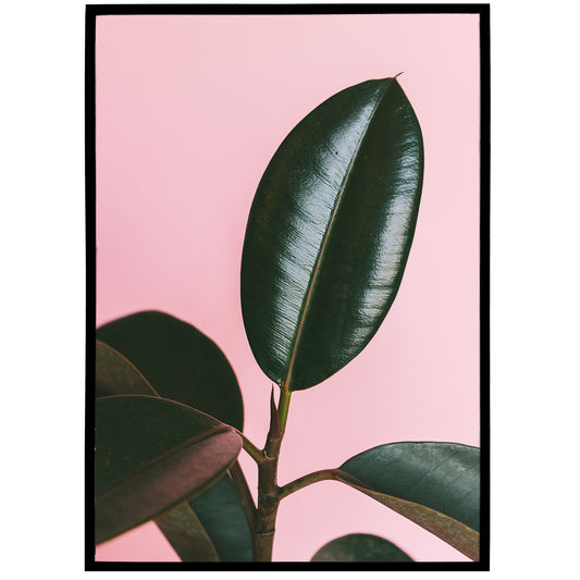 Pink Floral Photo Print