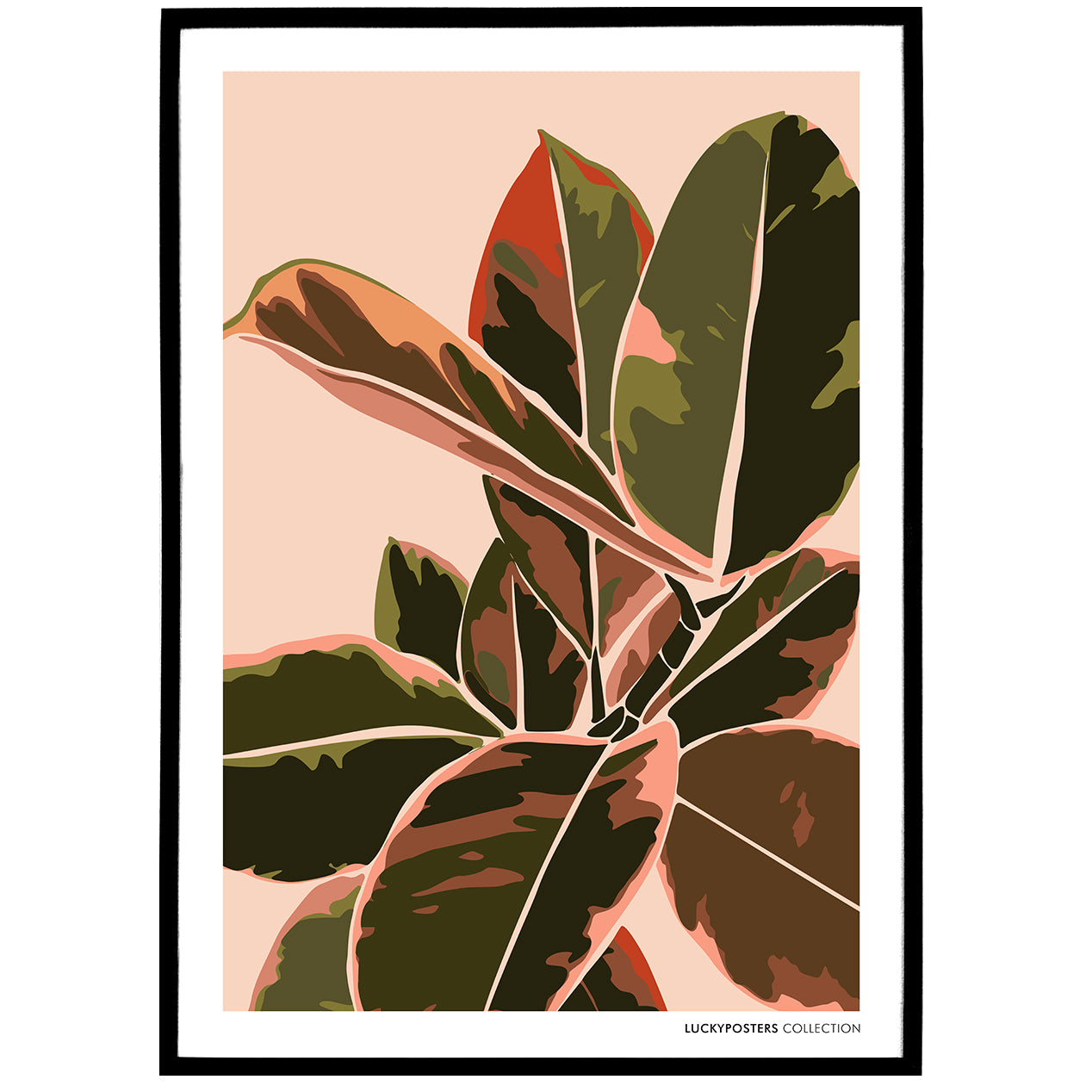 Ficus Elastica Belize Poster