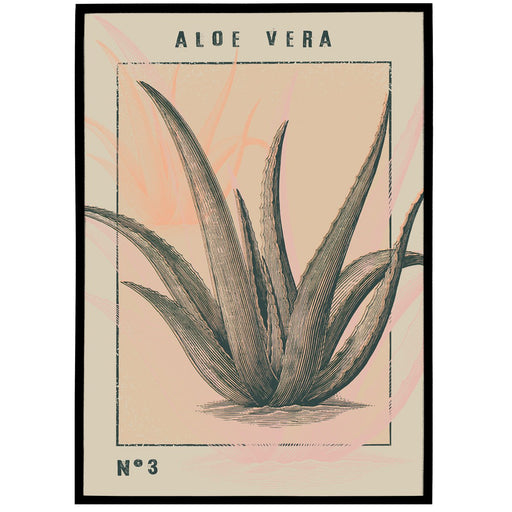 Aloe Vera Vintage Art Print