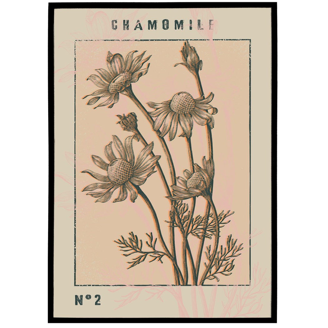 Vintage Chamomile Art Print