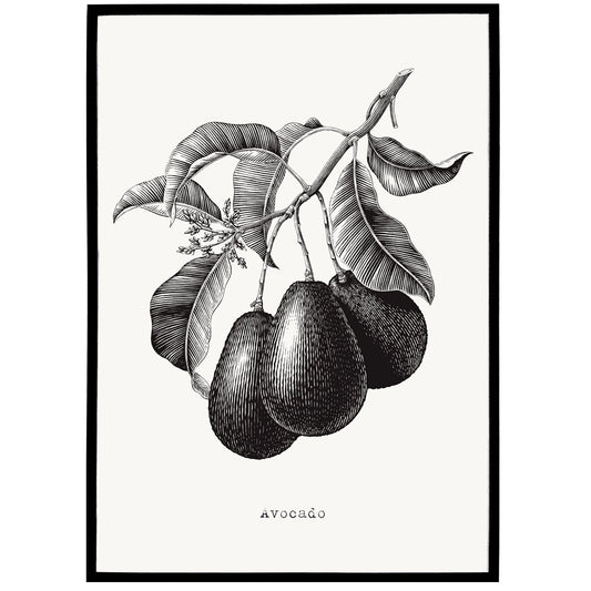 Black&White Avocado Poster