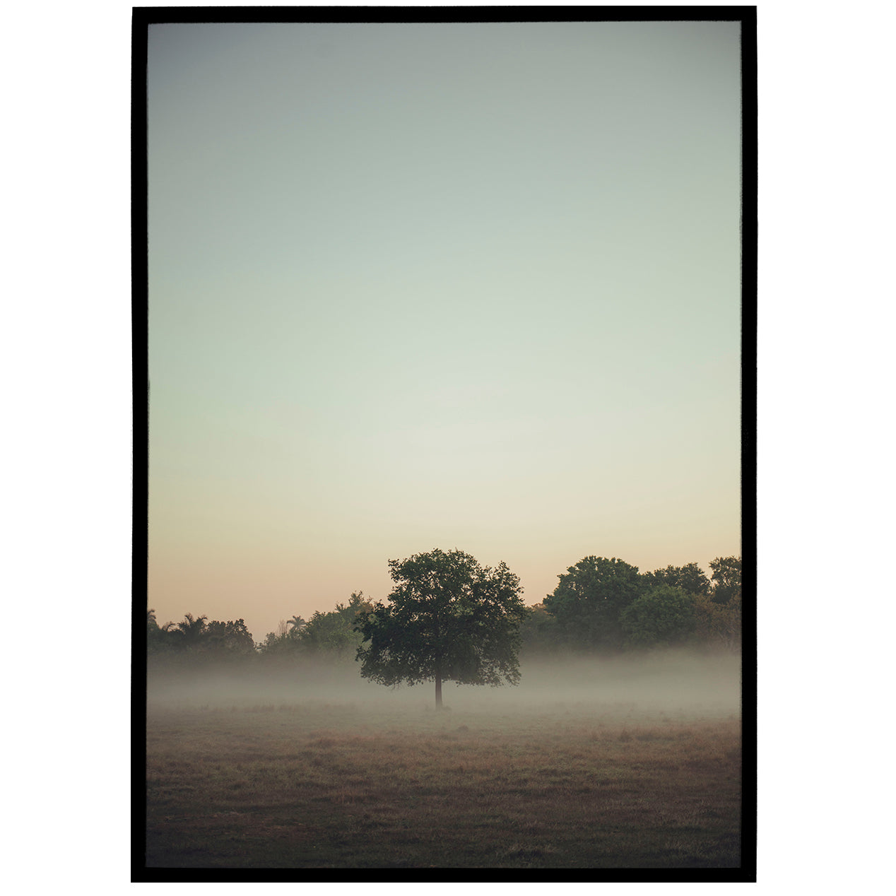 Foggy Landscape Photo Print