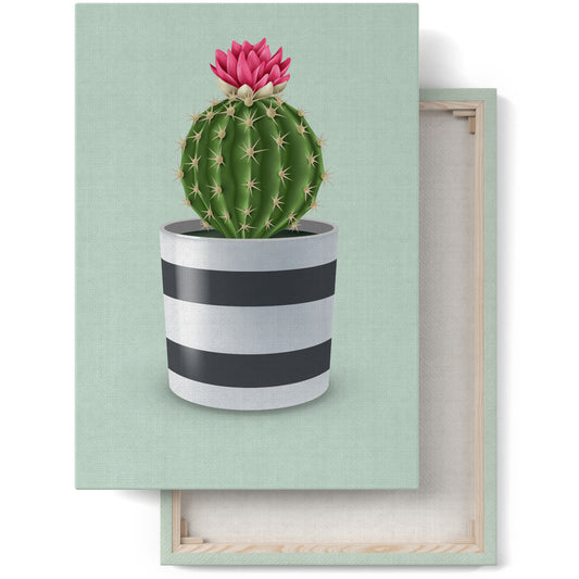 Cactus plant portrait with sage background canvas print