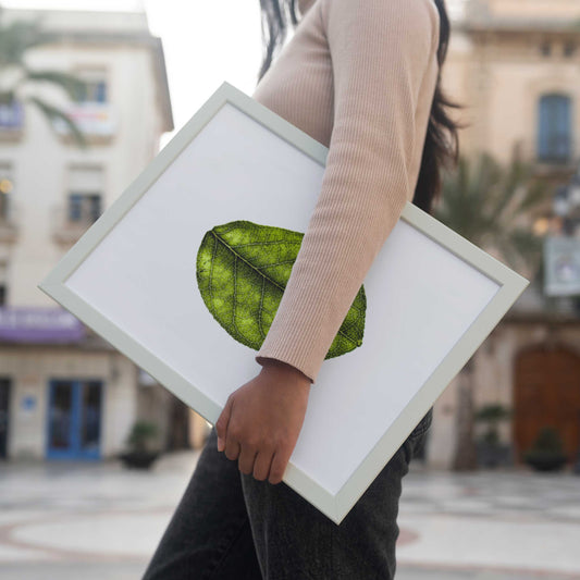 Minimalist Leaf Photography Poster