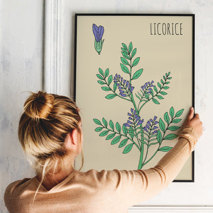 Licorice Botanical Poster