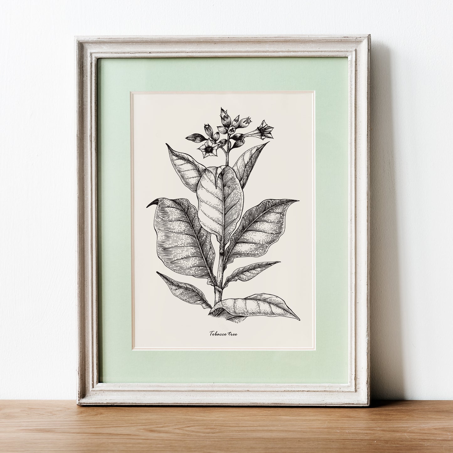 Tobacco Tree Art Print