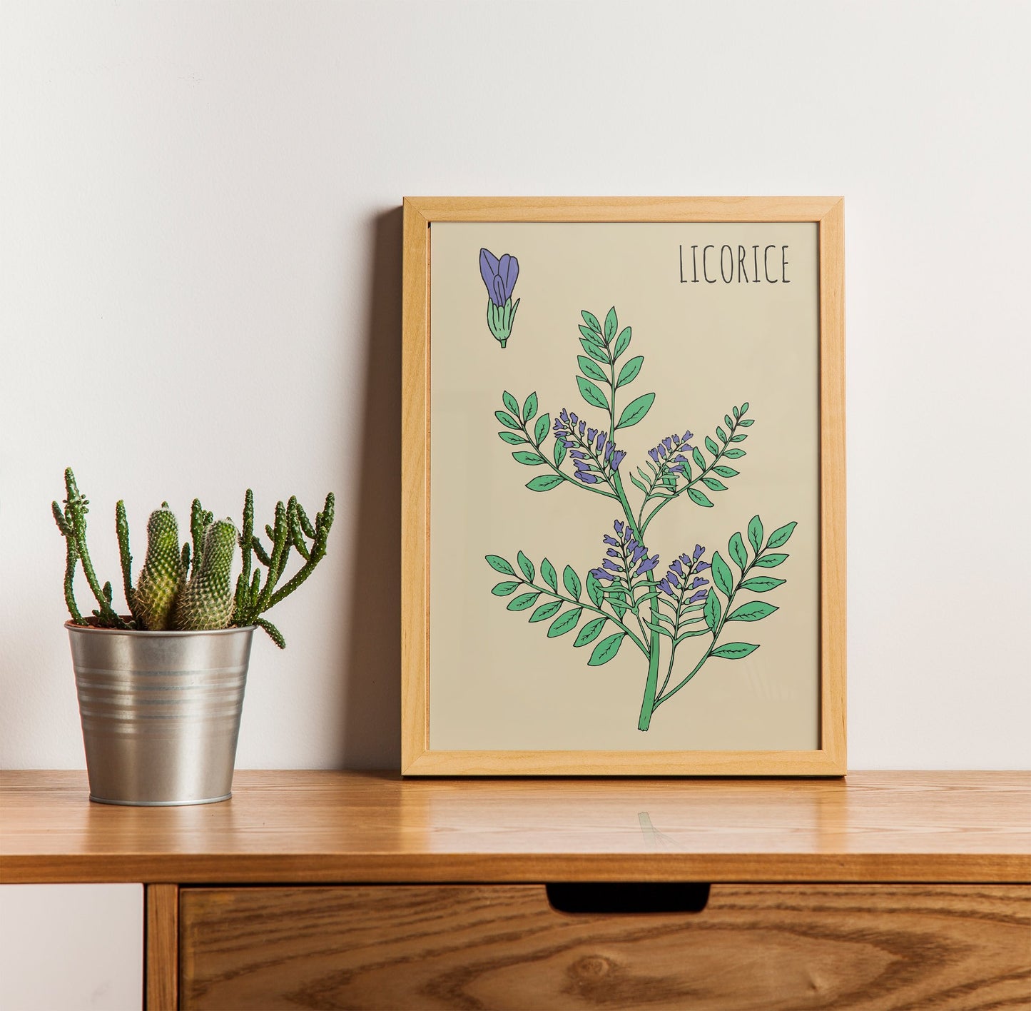 Licorice Botanical Poster