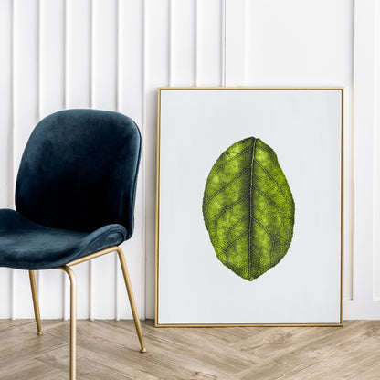 Minimalist Leaf Photography Poster