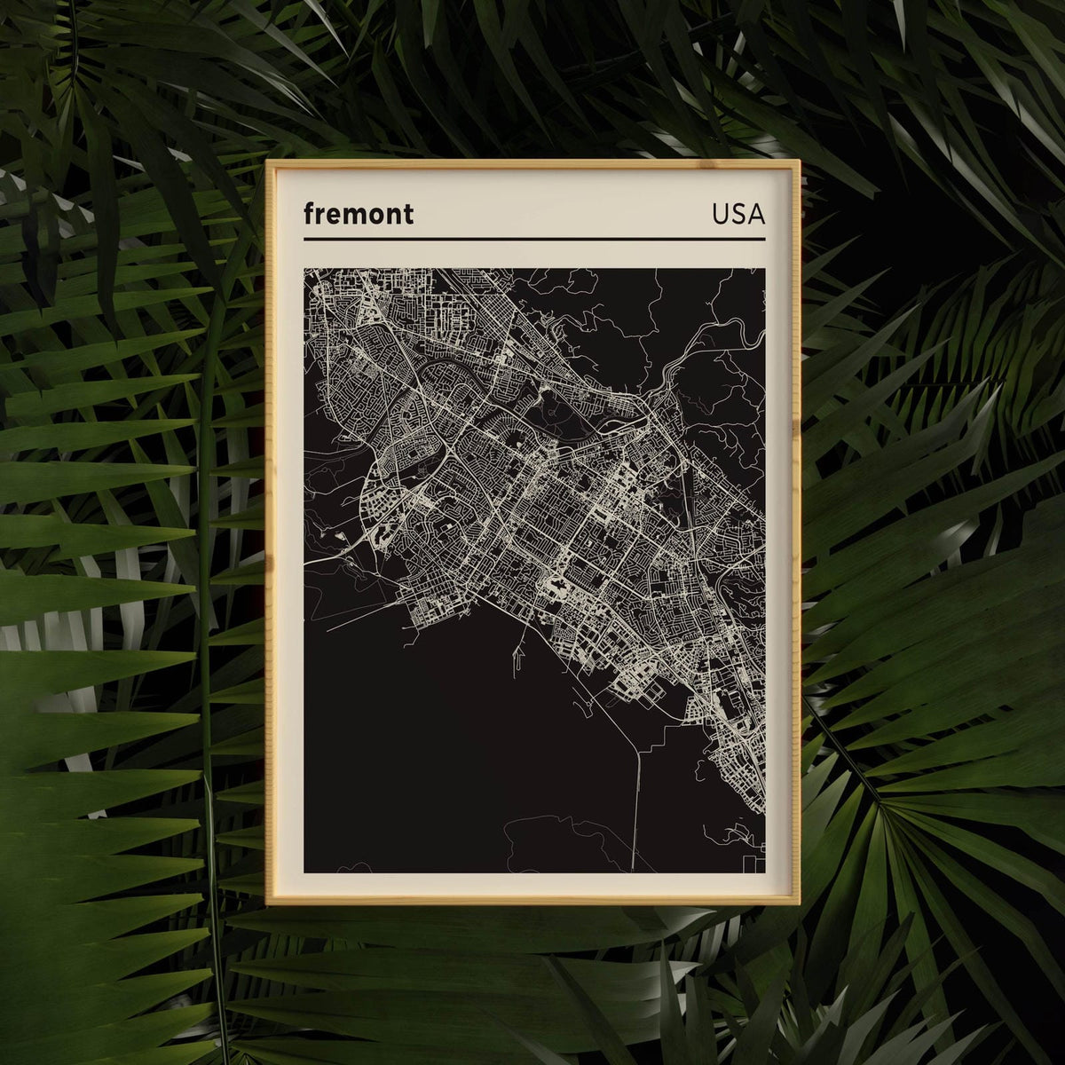 Firmet Map Fremont Map Poster – HypeSheriff Europe