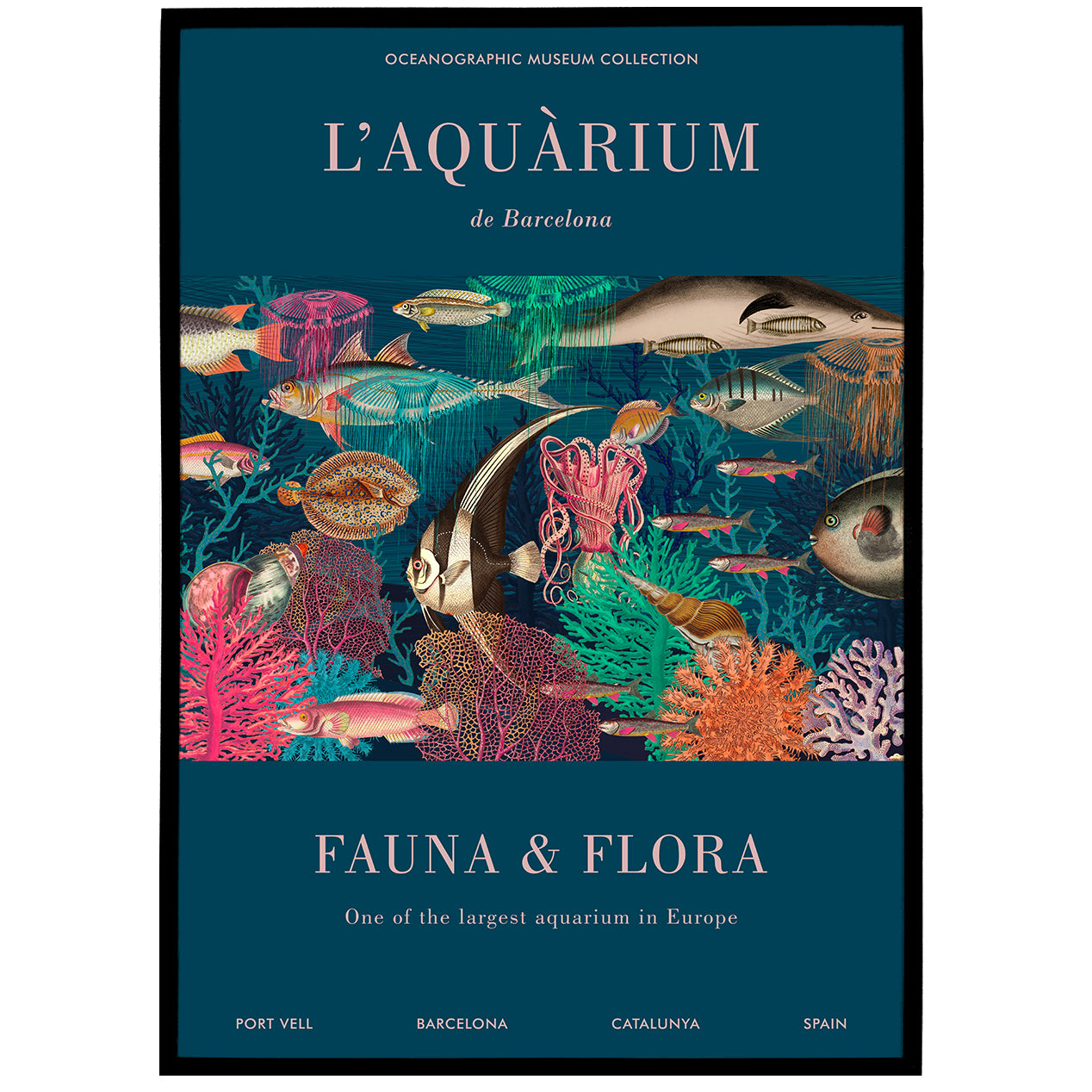L'Aquarium Barcelona Poster