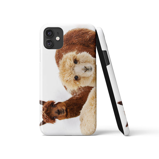 Cute Alpacas iPhone Case