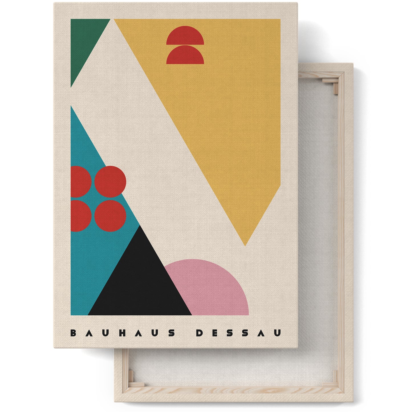 Bauhaus Dessau Canvas Print