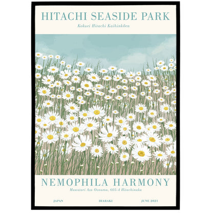 Hitachi Seaside Park, Japan Poster