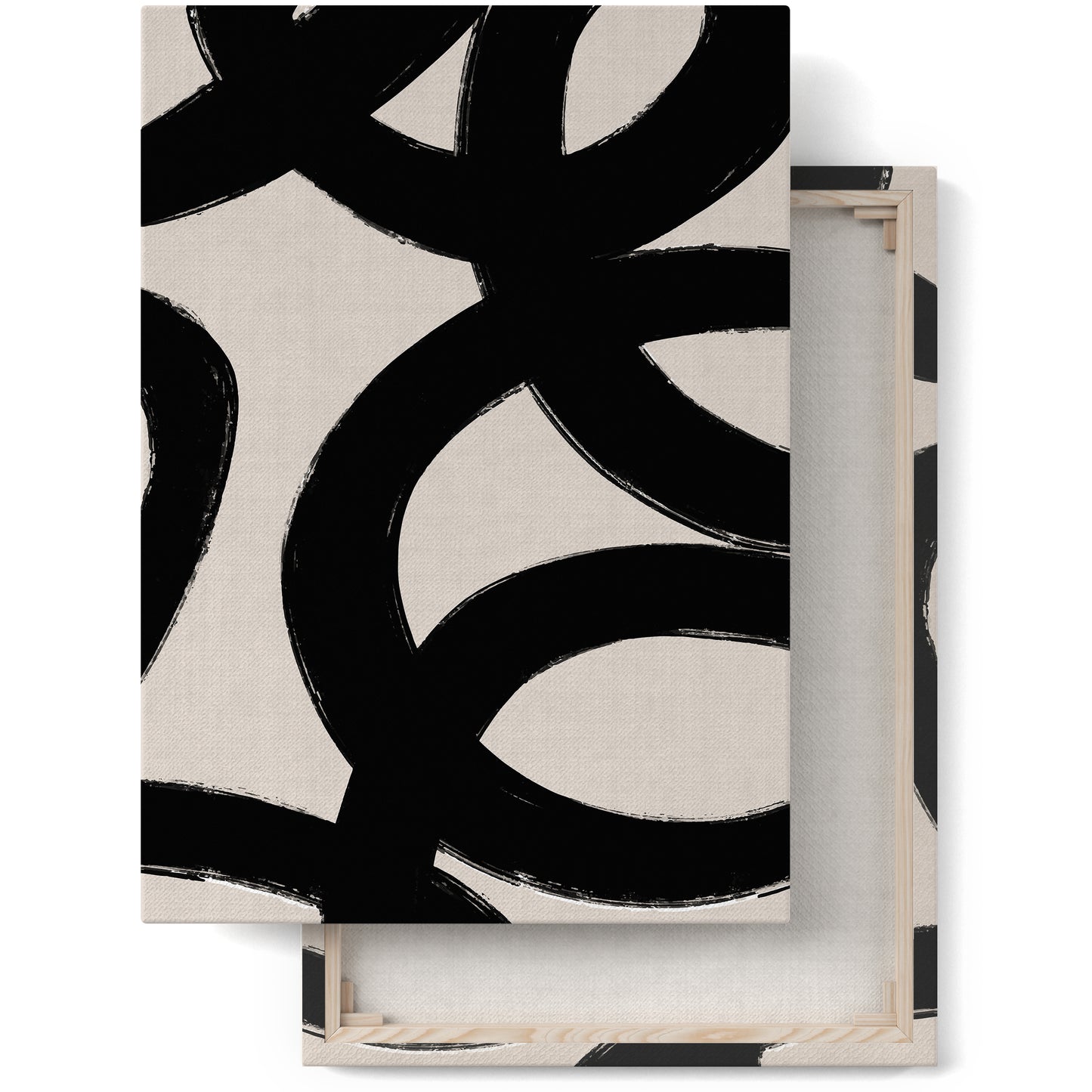 Black Ink Abstract Shapes Canvas Print