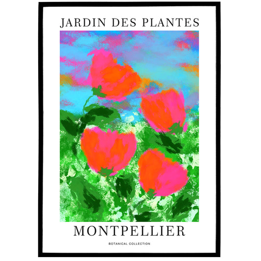 Jardin des Plantes, Montpellier Poster