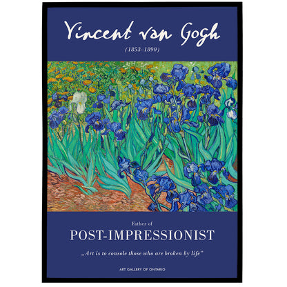 Vincent van Gogh, Irises (1889) Poster