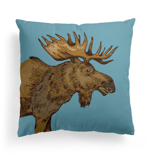 Pillow with Cute Reindeer