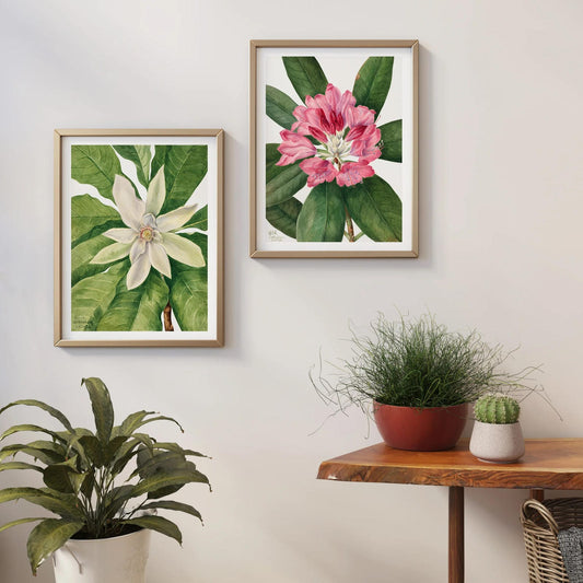 Set of 2 Mary Vaux Walcott Flowers Posters