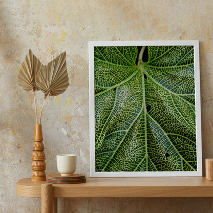 Photographic Leaf Poster