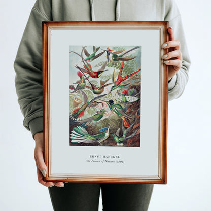 E. Haeckel, Art Forms of Nature No.3 Poster