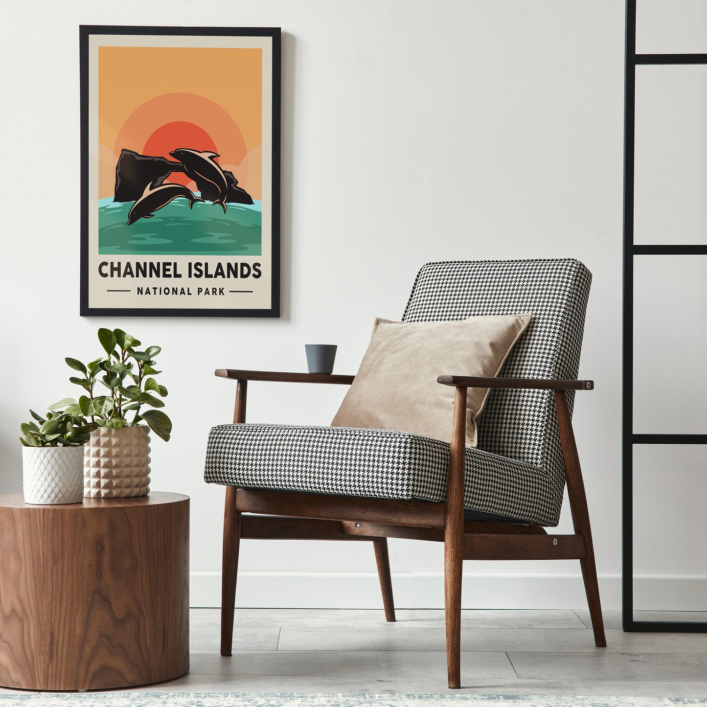 Channel Islands National Park Poster