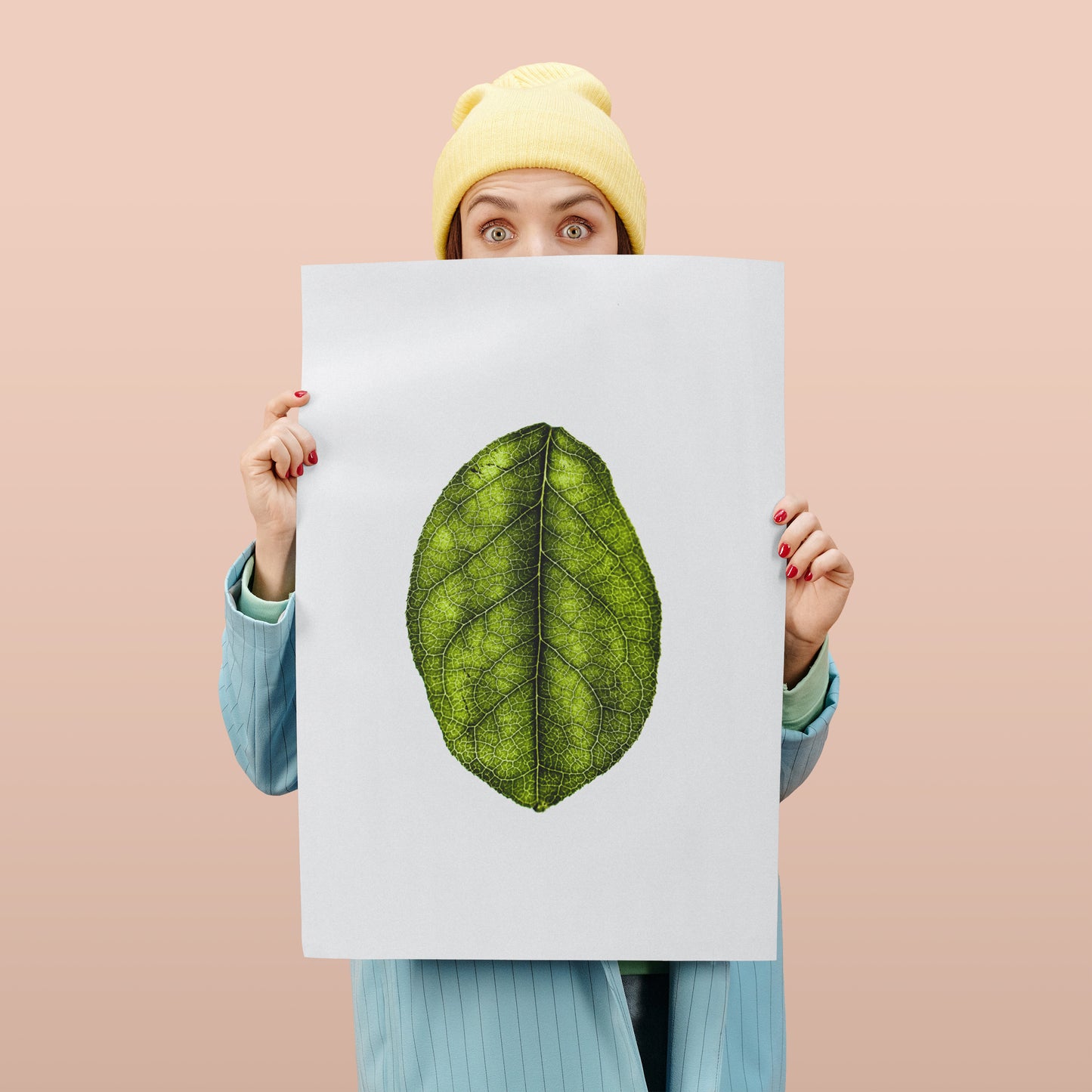 Minimalist Leaf Photography Poster