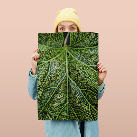 Photographic Leaf Poster