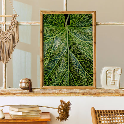 Photographic Leaf Poster