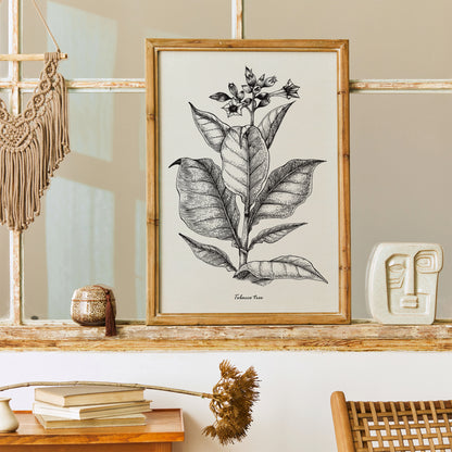 Tobacco Tree Art Print