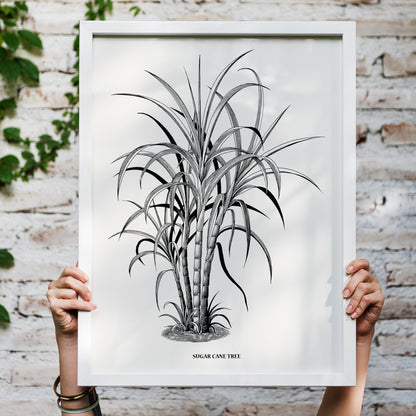 Sugar Cane Tree Retro Art Print